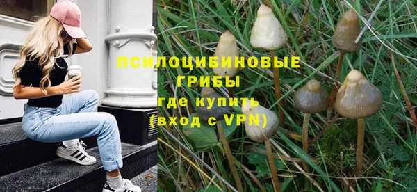 меф Бородино