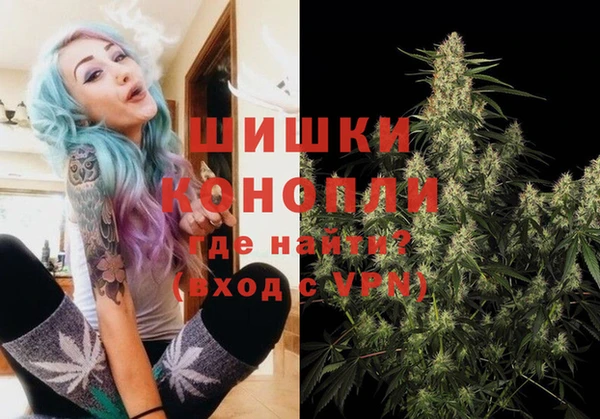 ПСИЛОЦИБИНОВЫЕ ГРИБЫ Бронницы