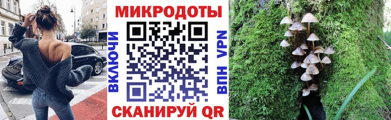 цены   Нижневартовск  Псилоцибиновые грибы MAGIC MUSHROOMS 